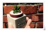 磁鐵盆栽DIY-創意療癒商品您也做得到！